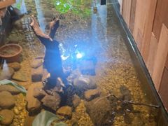 -邈墨茶馆(凤起路店)