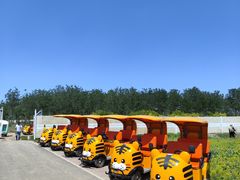 -天津东丽湖风景区