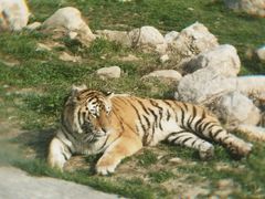 -西安秦岭野生动物园