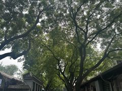 -南锣鼓巷