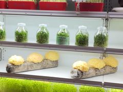 -番食园鲜食火锅(高新店)