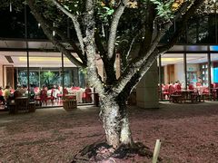 -阳澄湖费尔蒙酒店颐丰阁中餐厅(马鞍山西路店)