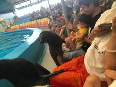 -尼莫海豚馆