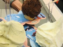-野人先生现做冰淇淋(西安赛格店)