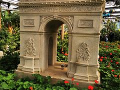 -南宫五洲植物乐园