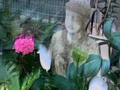 -谷咖啡·鲜花绿植花园餐厅