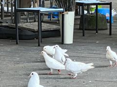 -南昌动物园