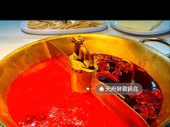 -小龙翻大江文化火锅(宽窄店)