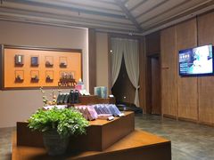 -端艾堂·SPA·艾灸(棕榈泉013店)