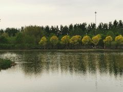 -东郊湿地公园