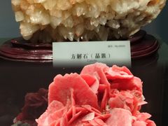 -湖南省地质博物馆