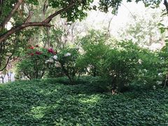 -西宁市人民公园(城西区)