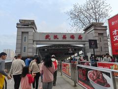 -武汉关码头(轮渡站)