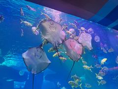 -泉城欧乐堡海洋极地世界