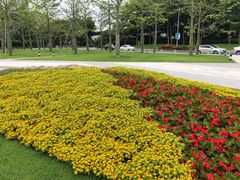 -二沙岛艺术公园