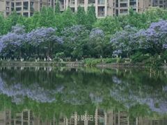 -成都南湖公园