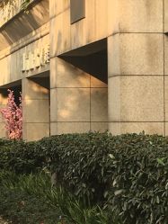 -榕树上·瑜伽普拉提