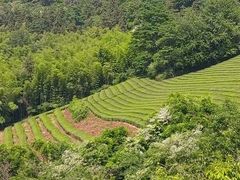 -敬亭山风景名胜区
