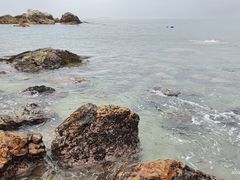 -西涌国际滨海旅游区