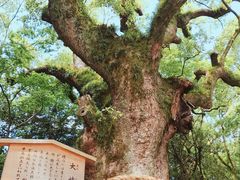-热田神宫