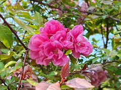 -元大都城垣遗址公园