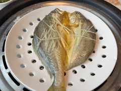 -青蓬蒸汽海鲜·深圳老字号·团建聚会(壹方城店)