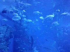 -成都浩海立方海洋公园