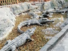 -龙达温泉生态城