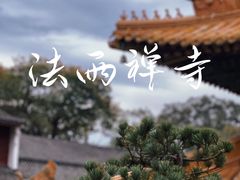 -普陀山风景名胜区-法雨禅寺