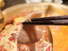 比脸大的毛肚-锅说大脸毛肚重庆老火锅(佐阾店)