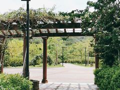 -大屏嶂森林公园
