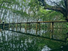 -西溪南古村落景区