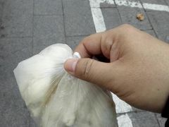 -陈公包子(文化西路店)