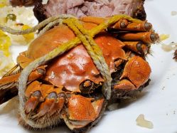 -静安洲际酒店·宴会厅