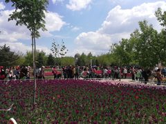 -长春公园(普阳街道)