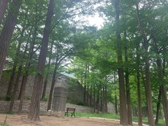 -阳台山自然风景区