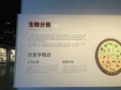 -四川大学博物馆