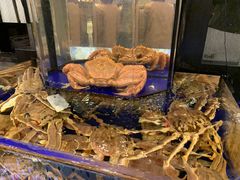 -蟹道乐(道顿堀本店)