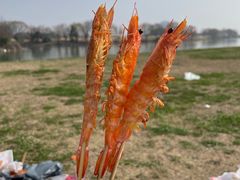 -苏州金鸡湖大酒店