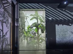 -中国江南水乡文化博物馆