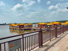 -溱湖国家湿地公园