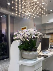 -Tloml salon