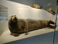 -深海中餐厅(国家海洋博物馆店)
