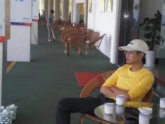 -奢月酒店(成都华西二院锦江院区三圣花乡地铁站店)