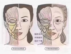 -美肤盾祛痘·问题肌头疗管理中心