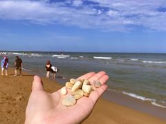 -日照海滨国家森林公园
