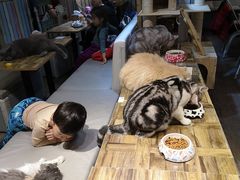 -小时光咖啡馆(开森度假森林店)