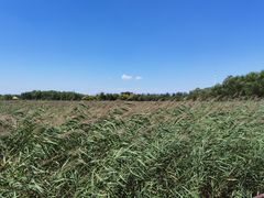 -西青郊野公园