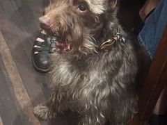 -福烤锦花(长乐路店)