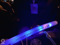 -东方体育中心(地铁站)